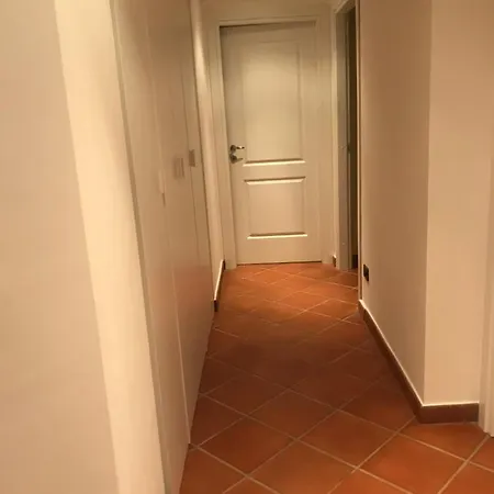 Il Delfino Appartement *